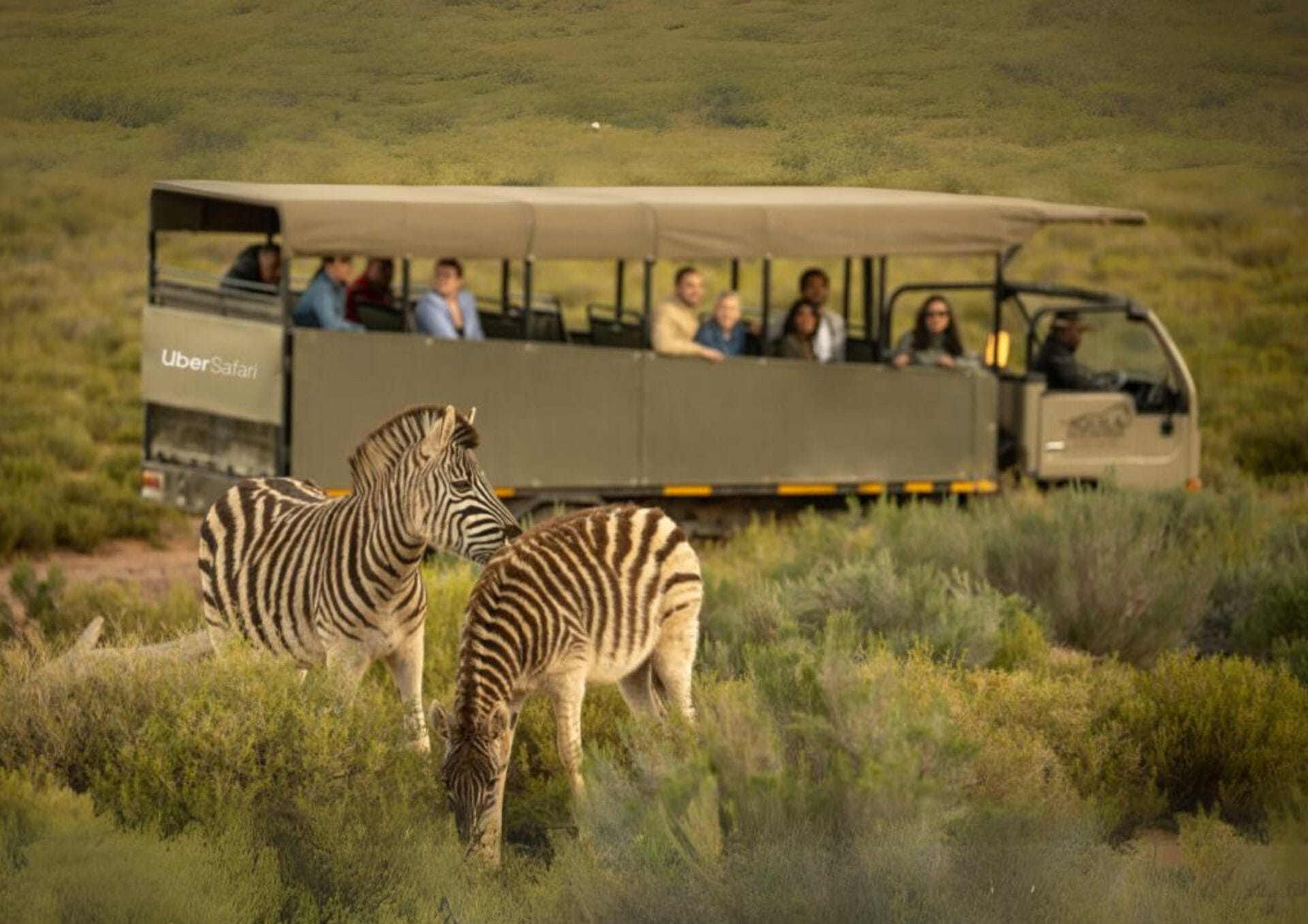 Uber, Güney Afrika’da Safari hizmetini başlattı